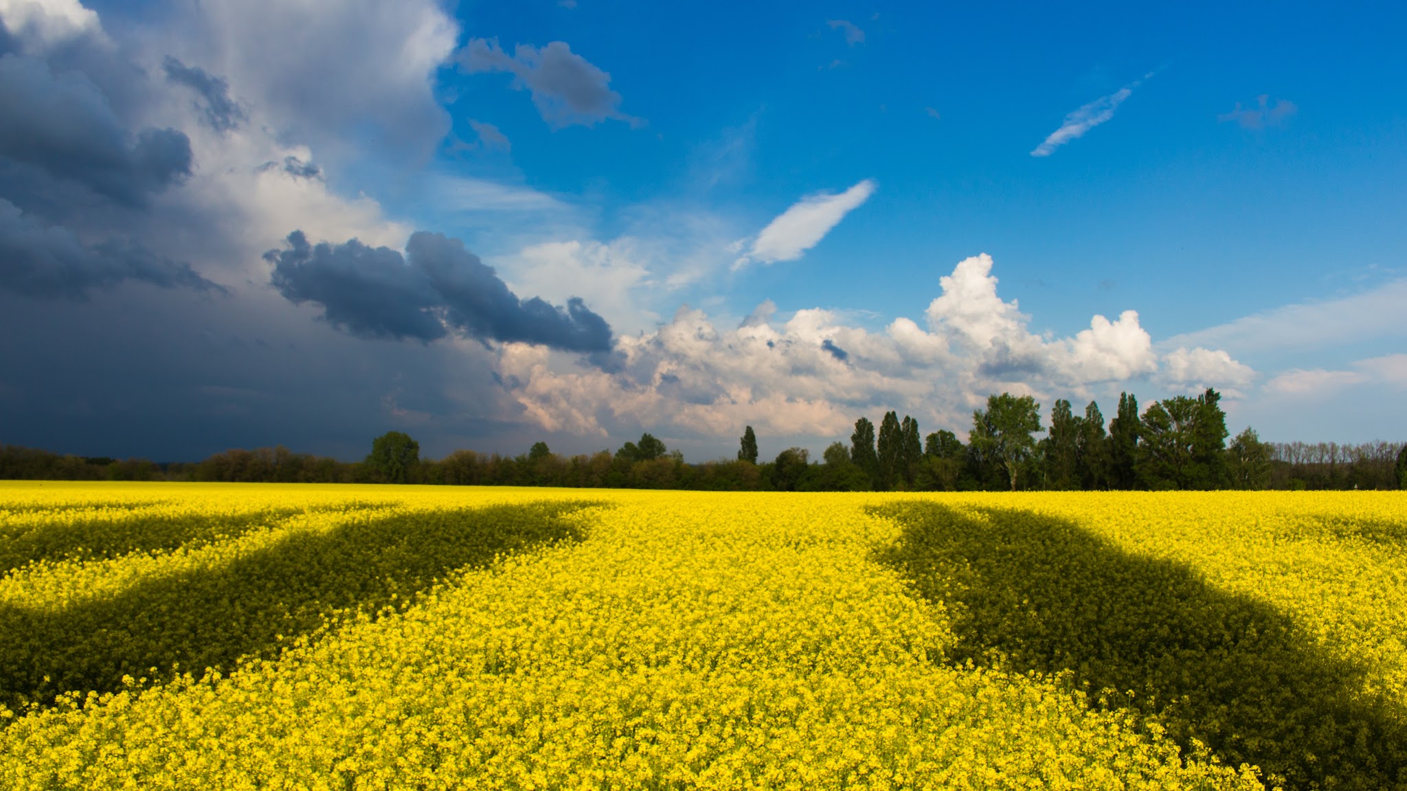 Міністерство фінансів України YouTube banner