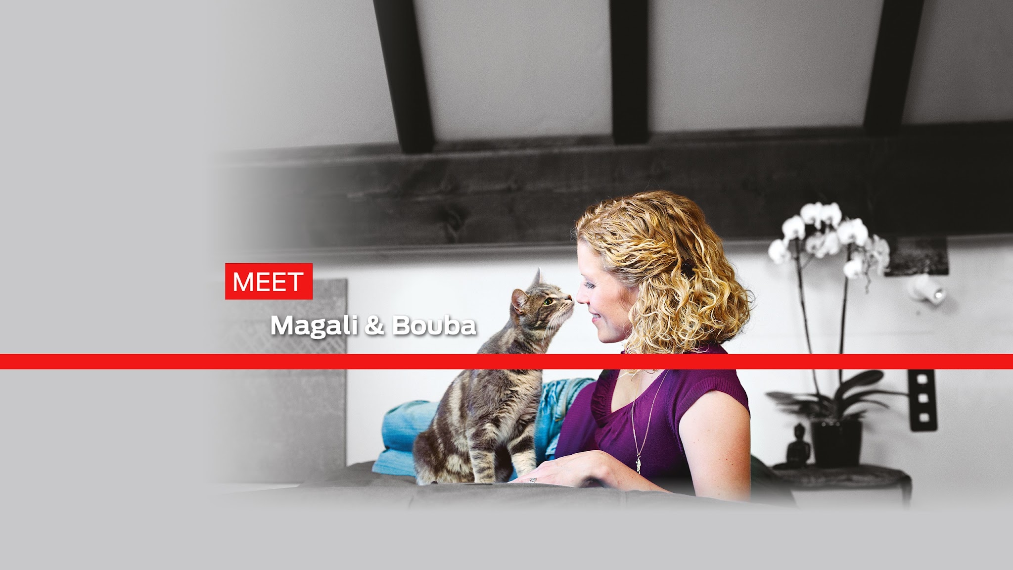 Purina Schweiz YouTube banner