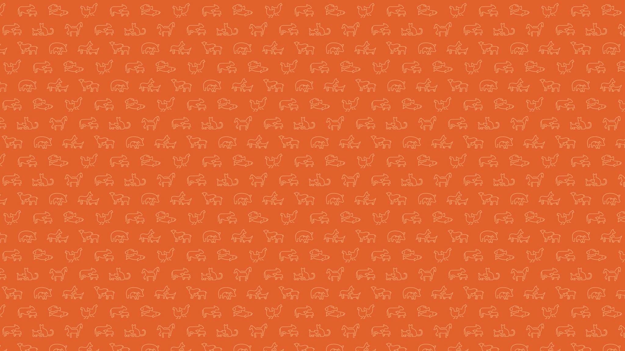 Zoetis Ruminants IT YouTube banner