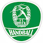 SC DHfK Leipzig - Handball YouTube channel avatar 