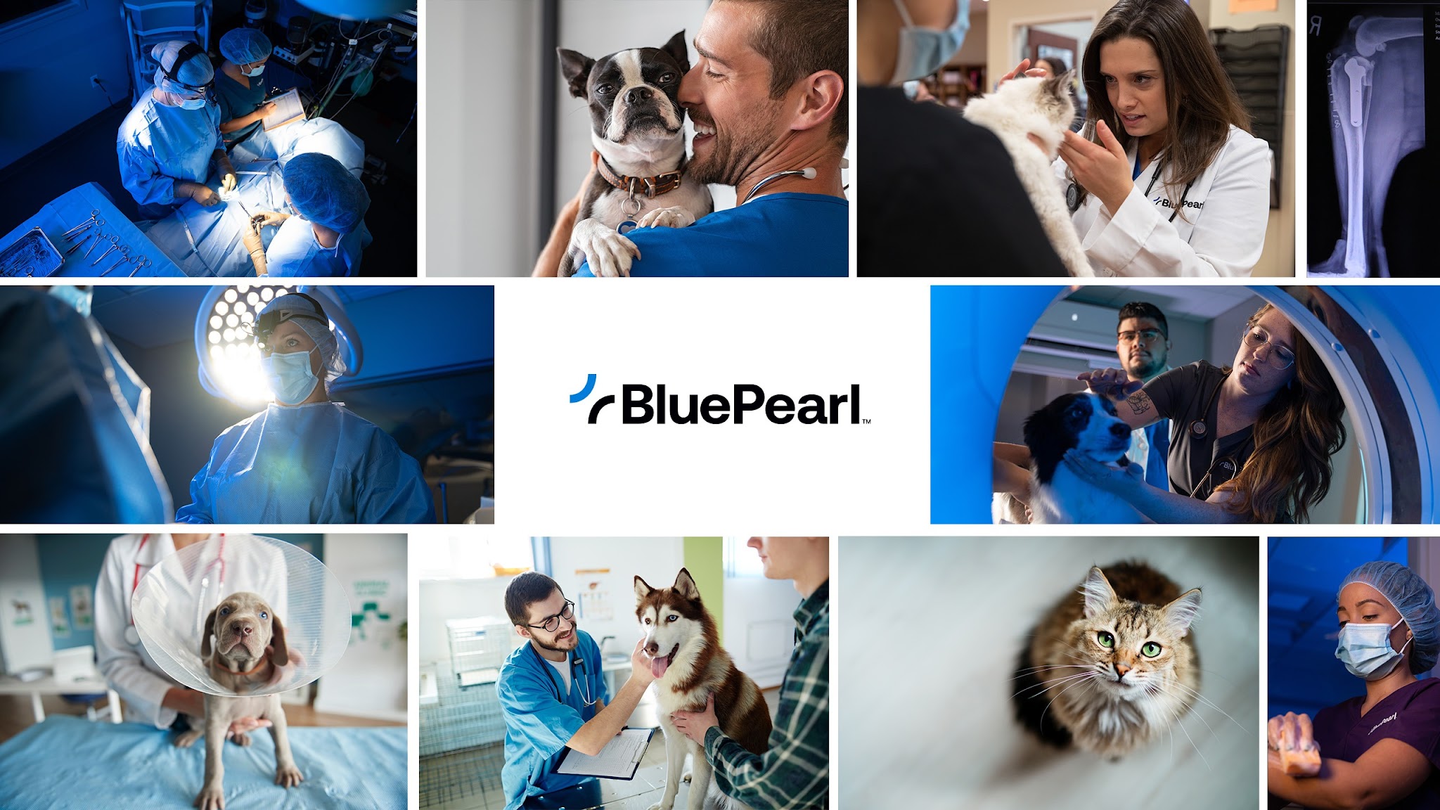 BluePearl Pet Hospital YouTube banner