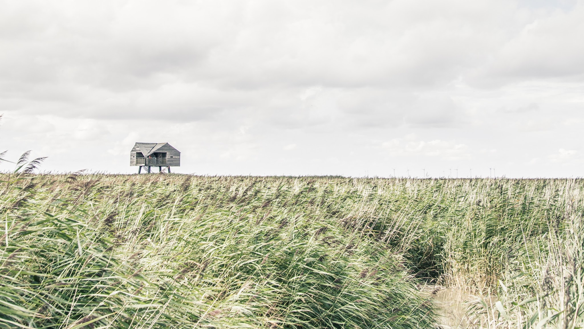 Er gaat niets boven Groningen YouTube banner