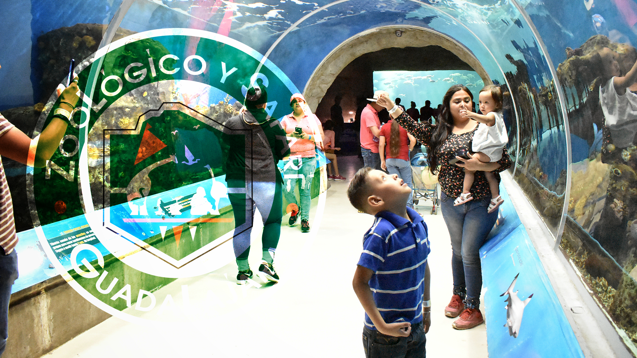 Zoológico Guadalajara YouTube banner