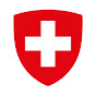 VBS DDPS logo