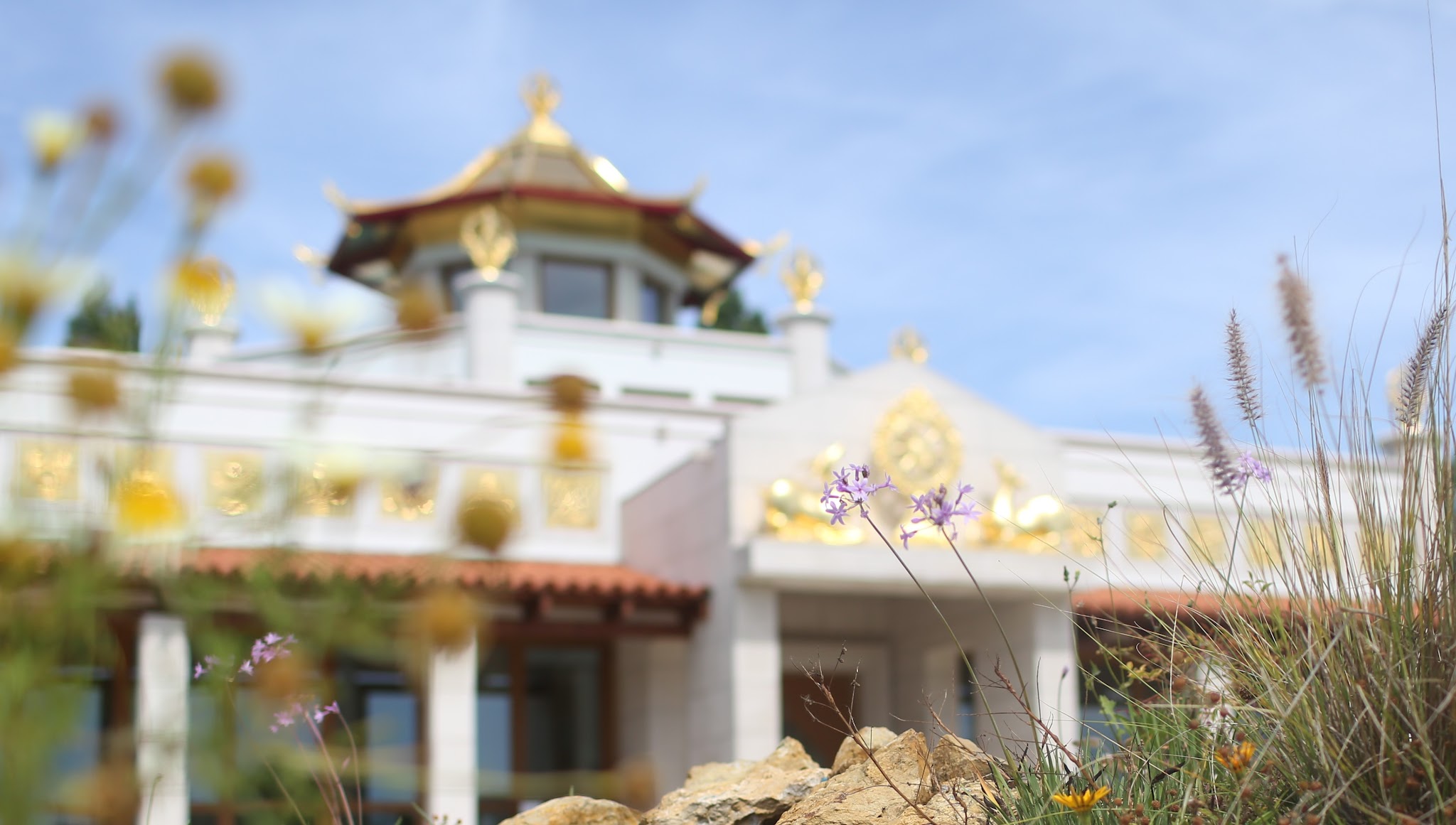 Templo de Sintra YouTube banner