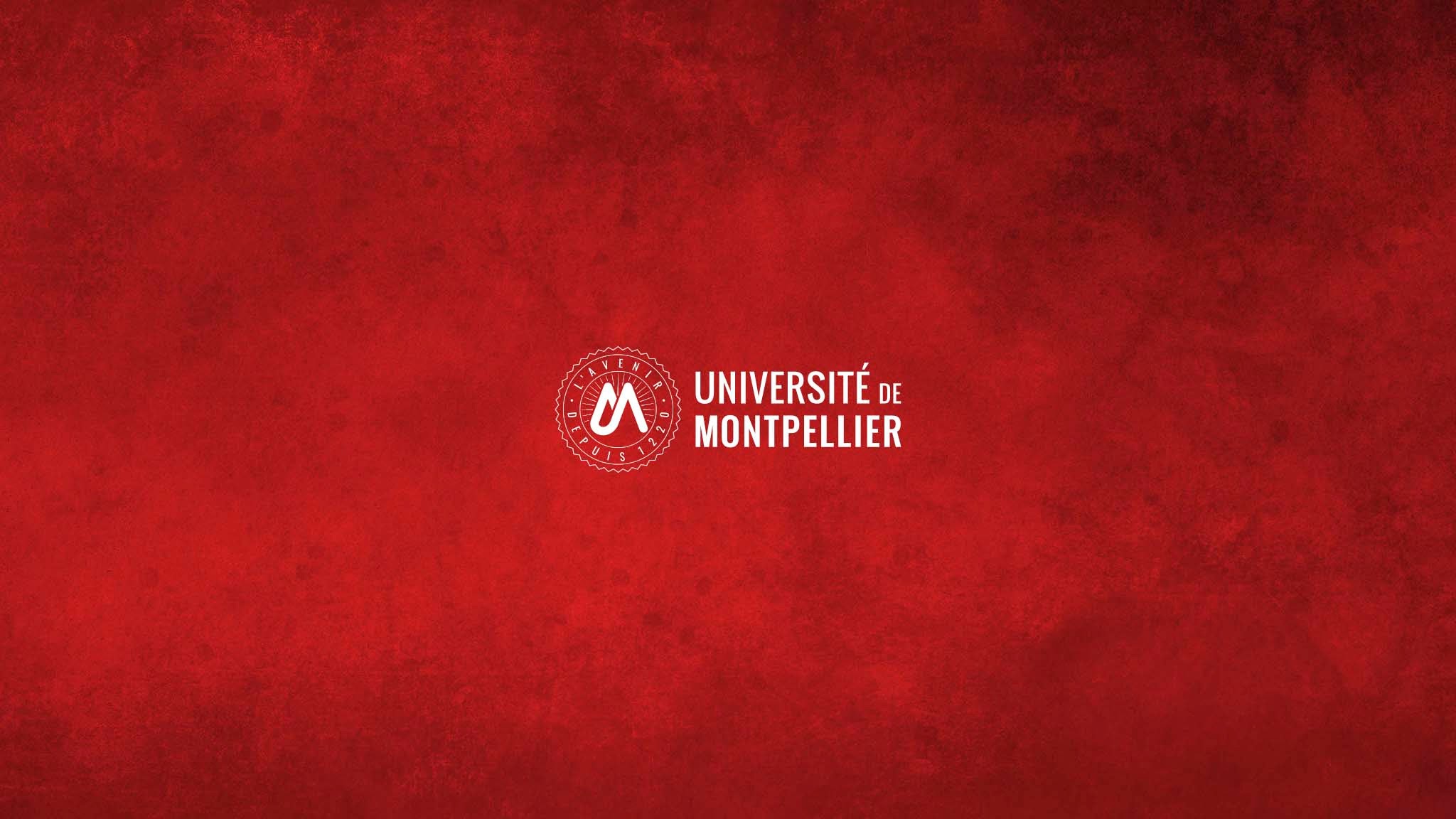 Université de Montpellier YouTube banner