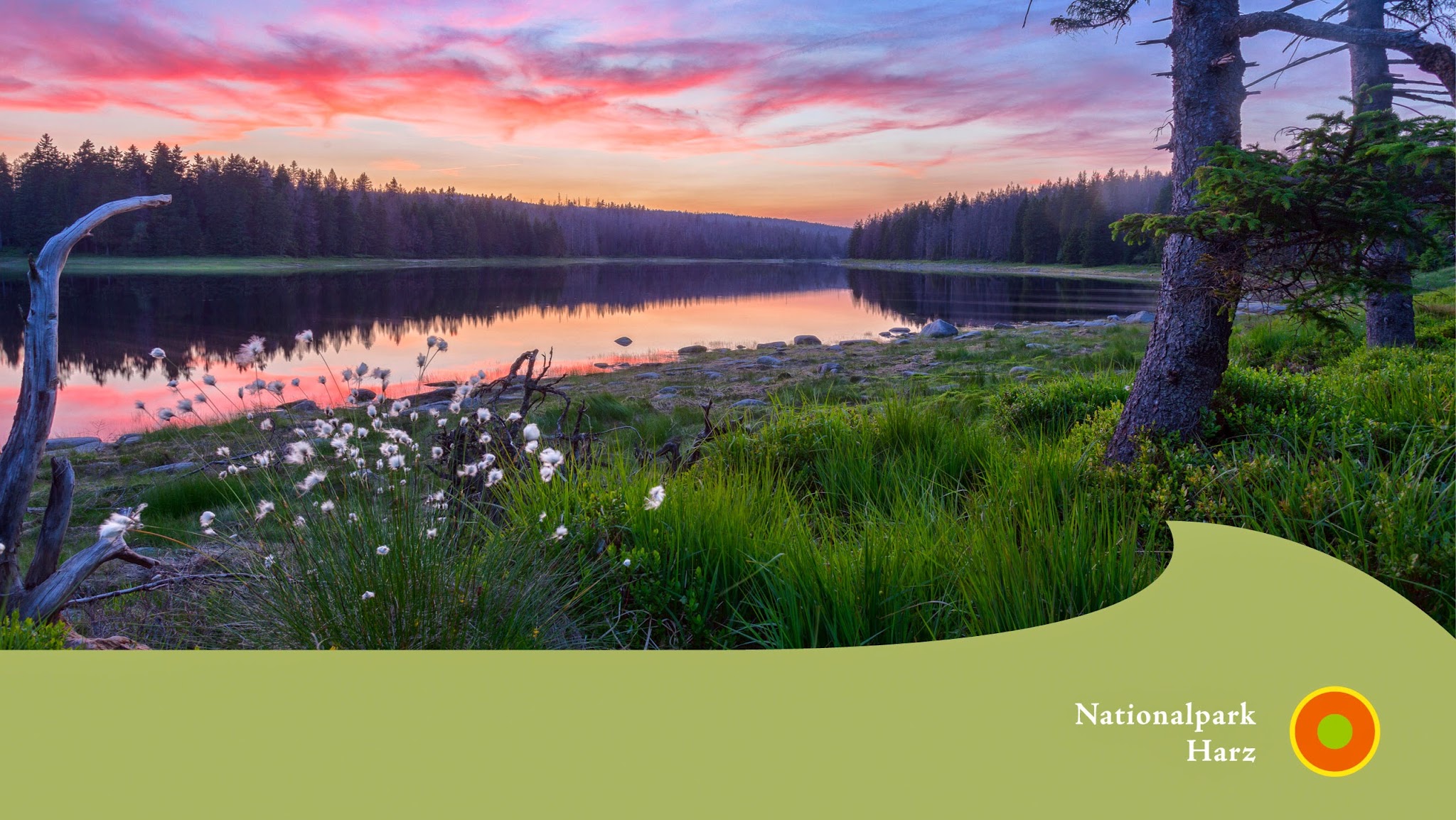 Nationalpark Harz YouTube banner