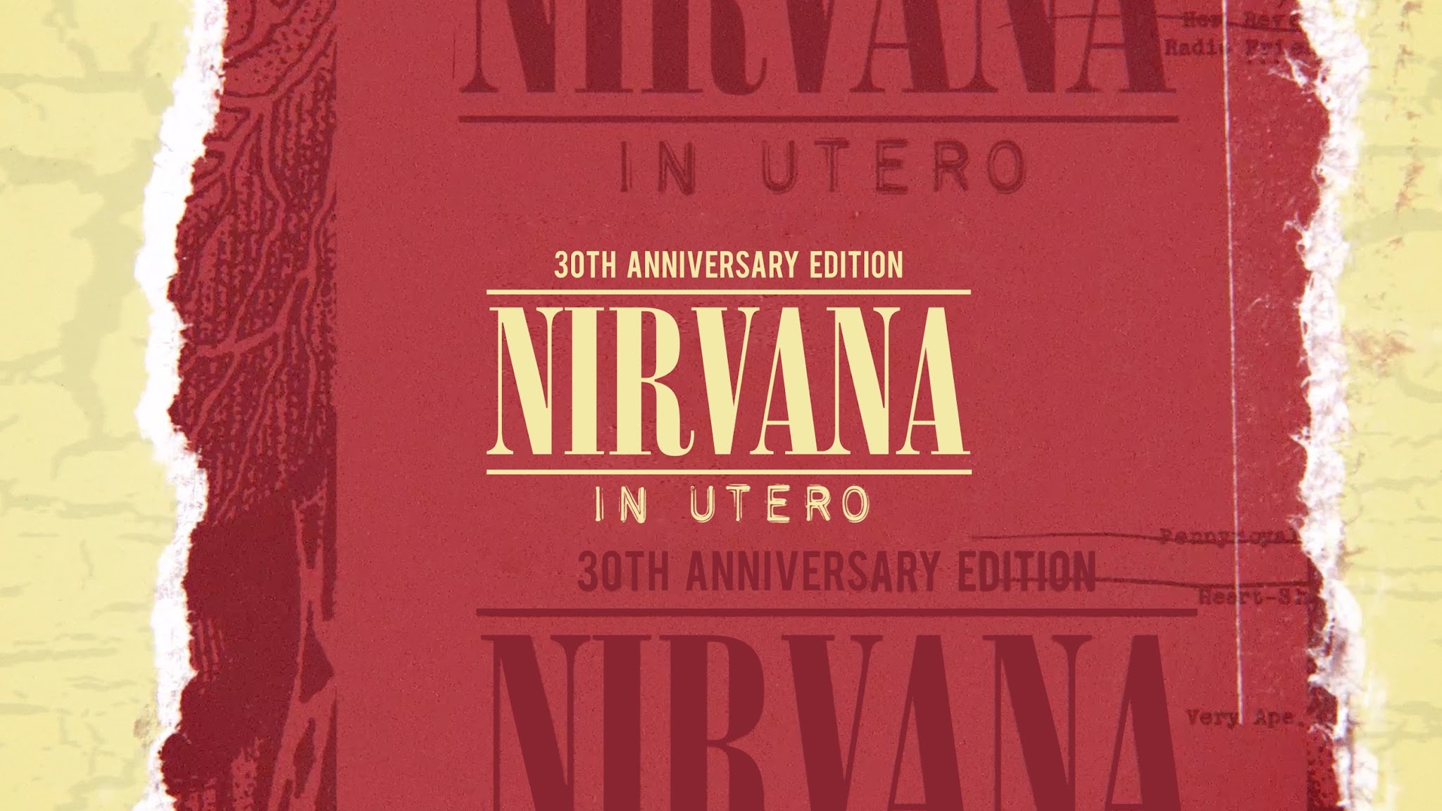 Nirvana YouTube banner
