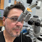 Dr. Stephen Phelan logo
