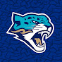 BARYS TV logo