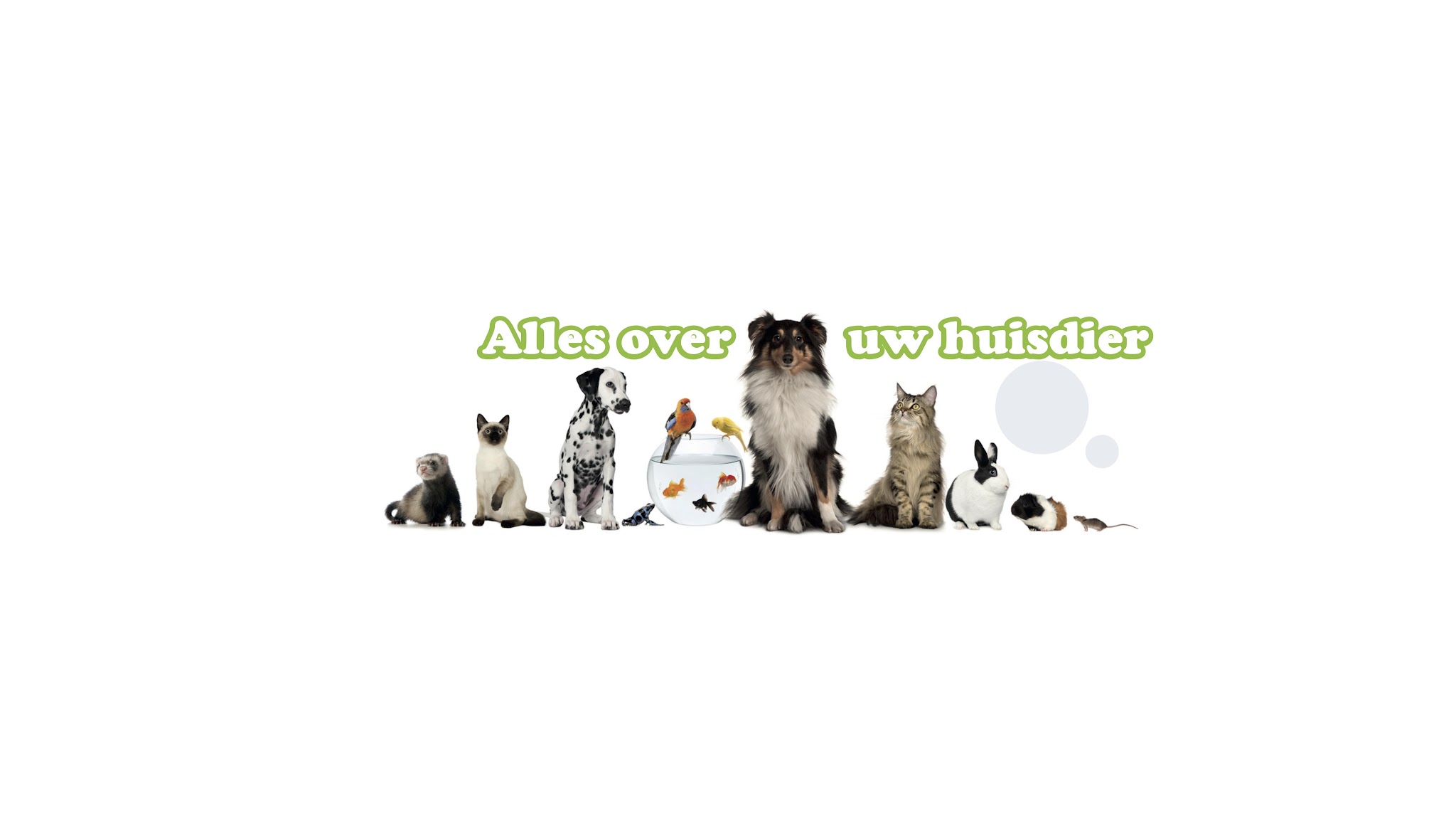 Alles over uw huisdier YouTube banner