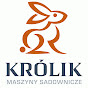 KRÓLIK YouTube channel avatar 