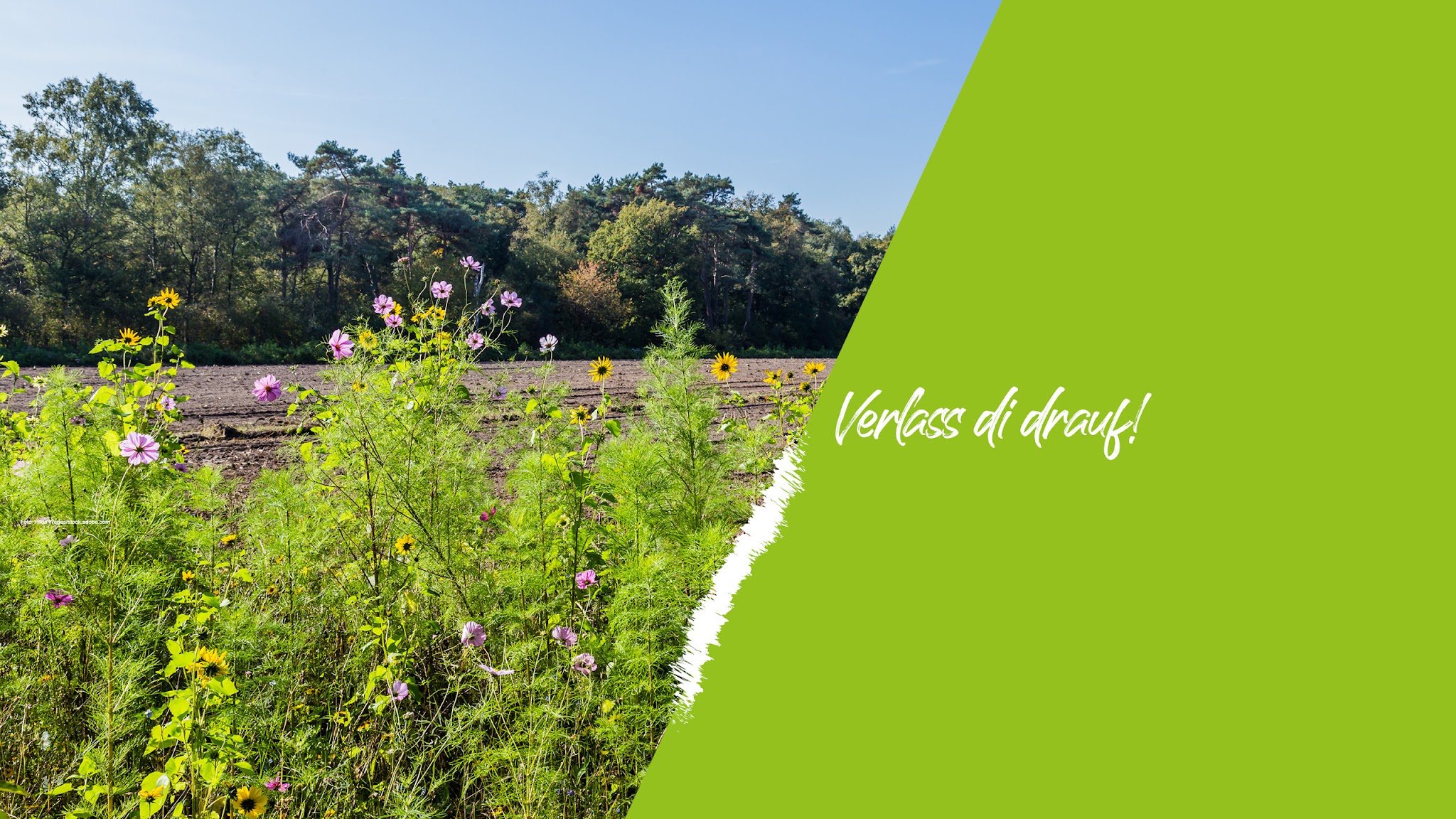 LANDWIRTSCHAFTSKAMMER NÖ YouTube banner