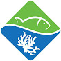 OceanStateAquaticsTV YouTube channel avatar 