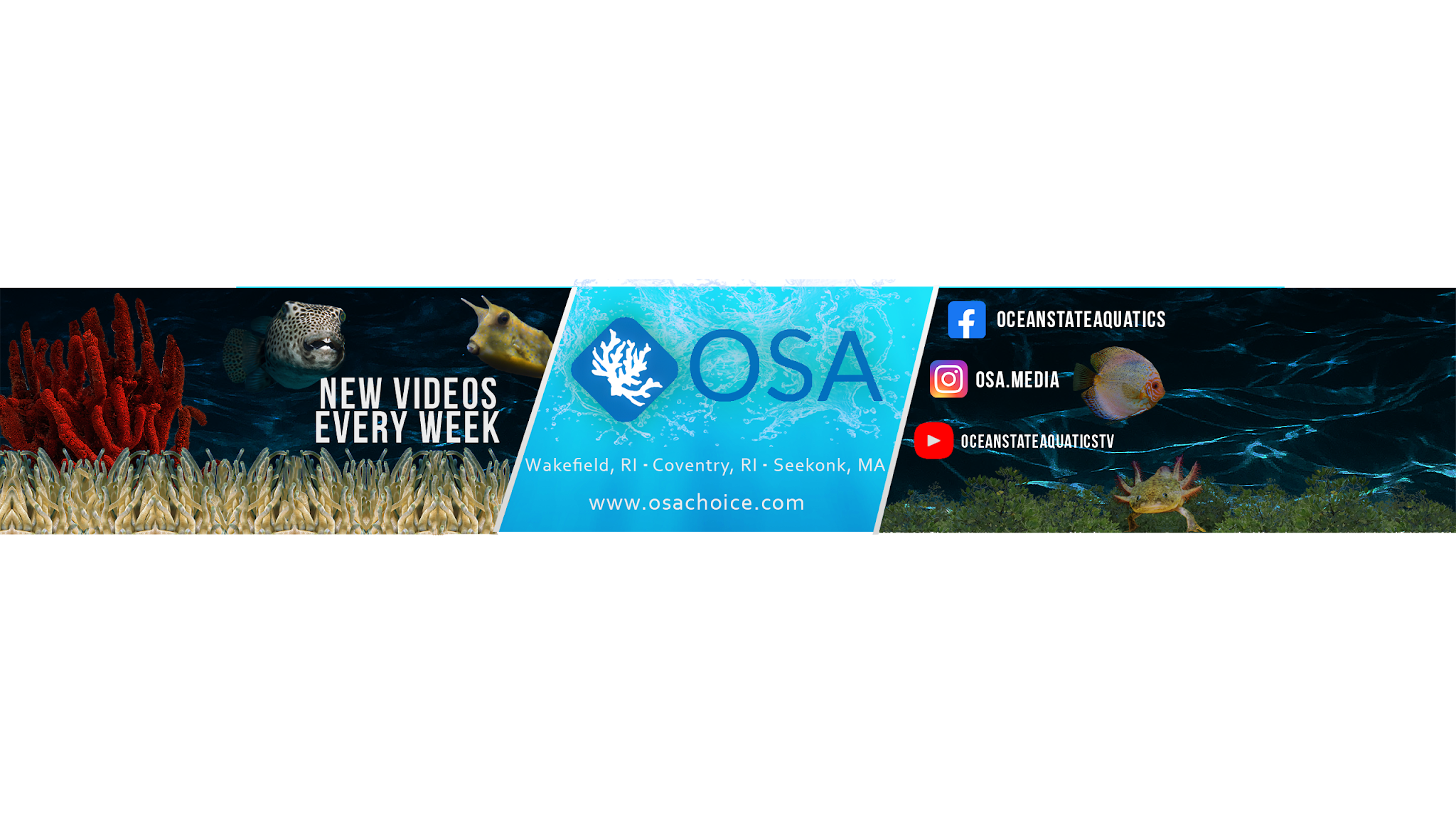 OceanStateAquaticsTV YouTube banner