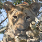 TravelRwanda logo