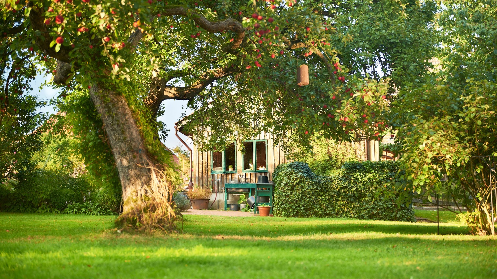 WOLF-Garten Italia YouTube banner