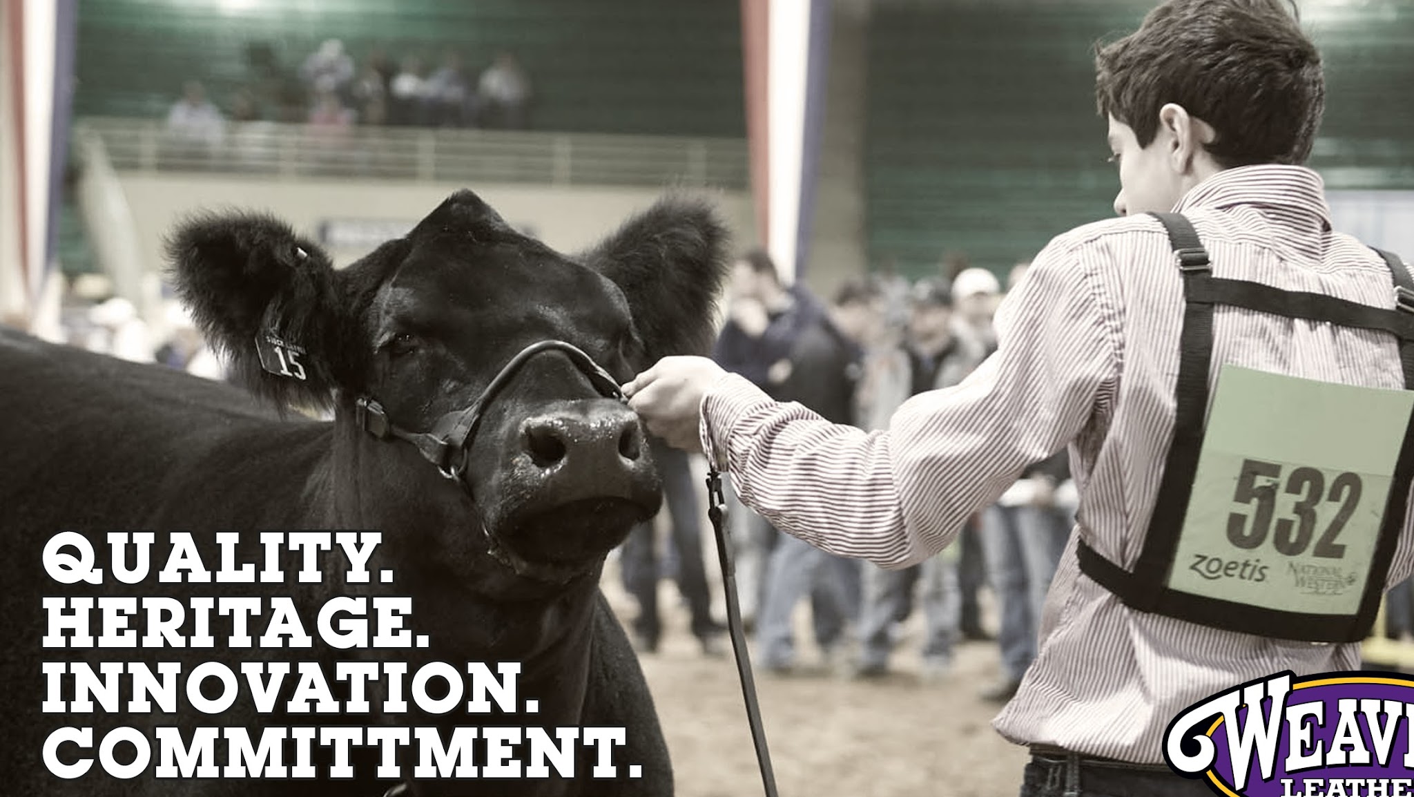 Weaver Livestock YouTube banner