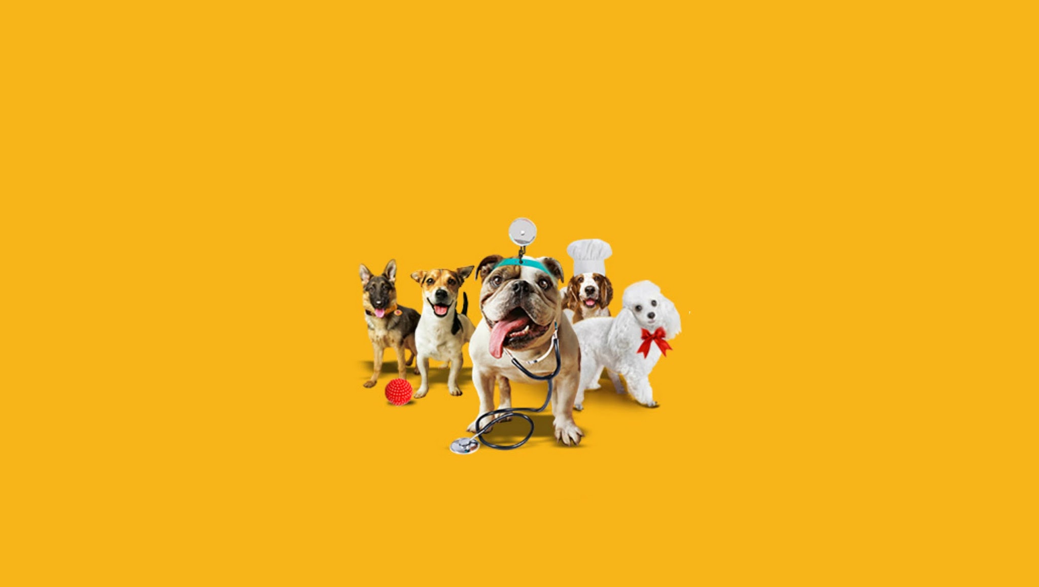 Pedigree España YouTube banner