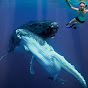 TongaTourism logo