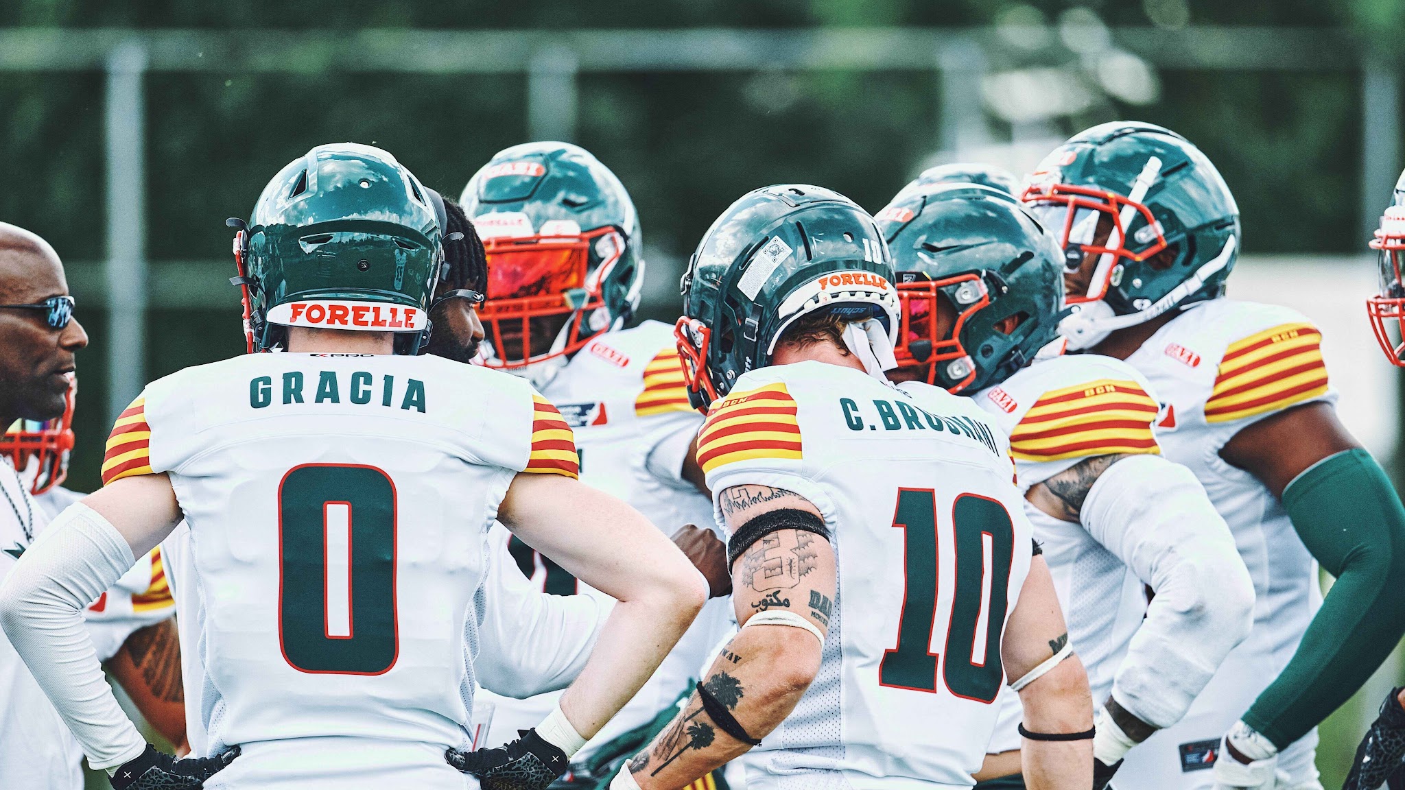 Barcelona Dragons YouTube banner