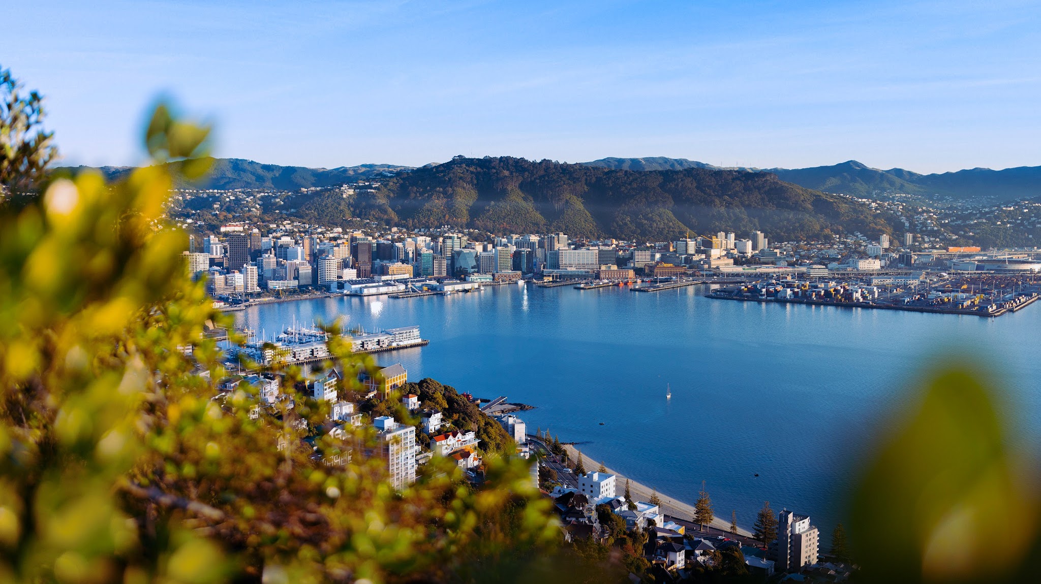 Wellington City Council YouTube banner