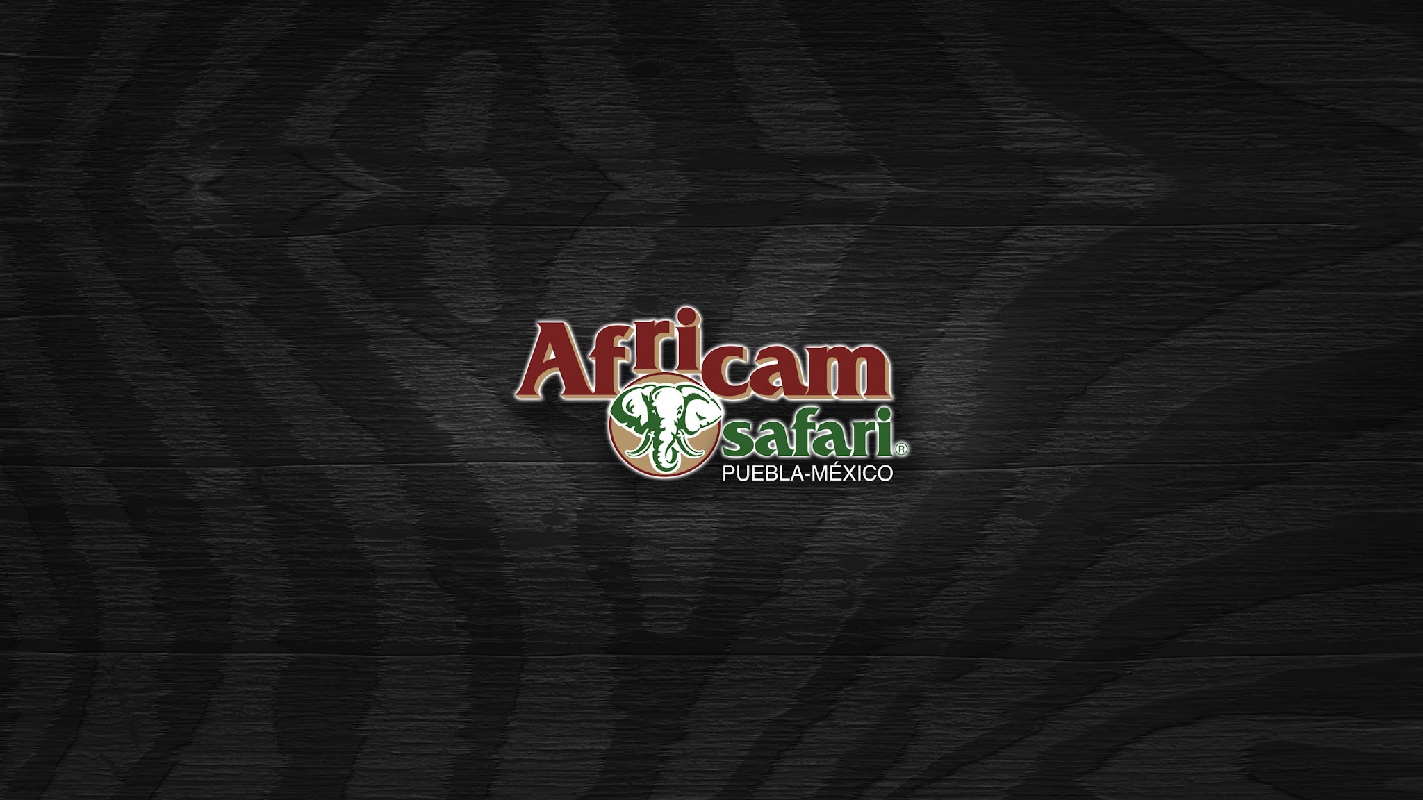 AFRICAM SAFARI YouTube banner