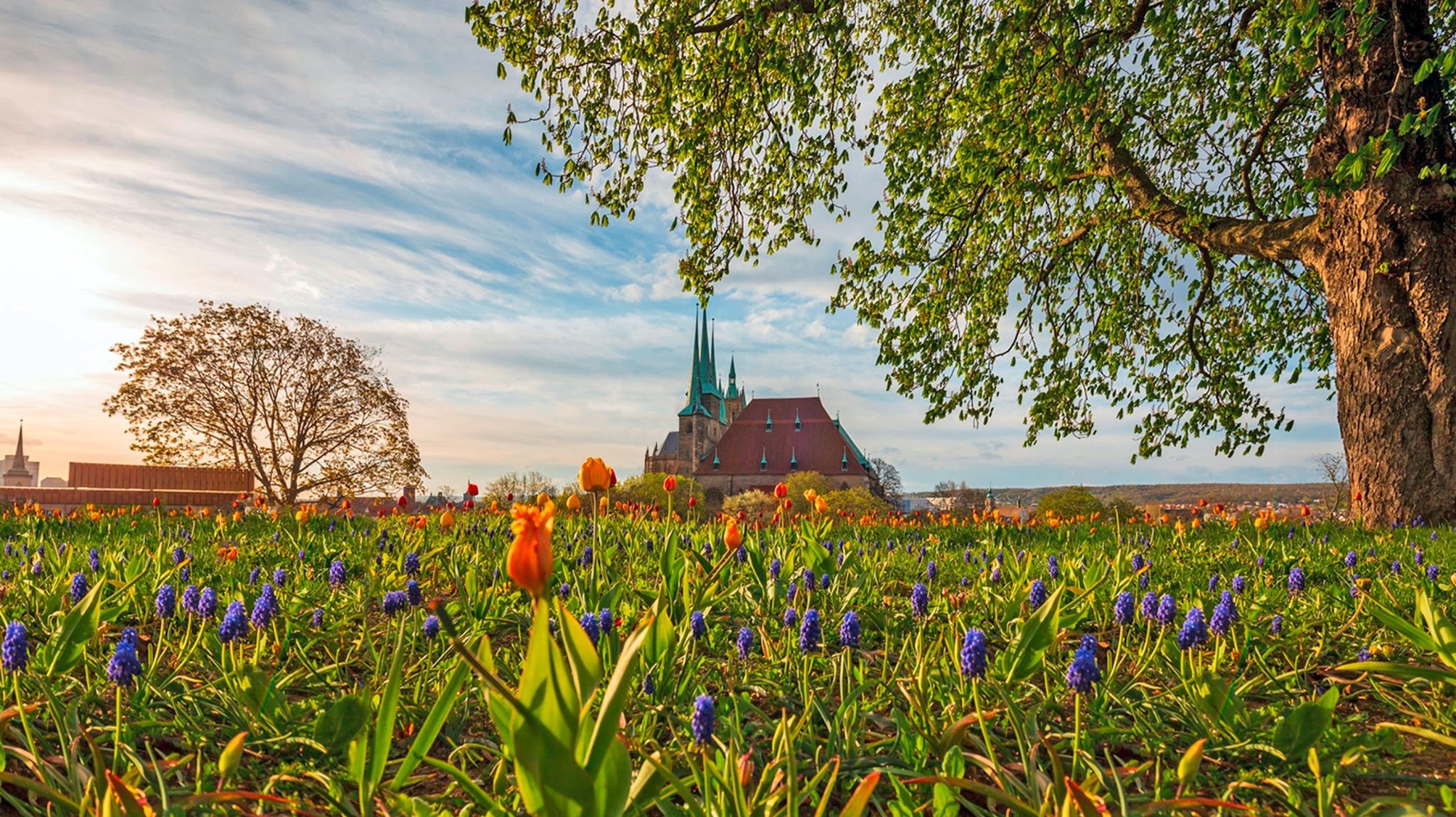 Erfurt erleben YouTube banner
