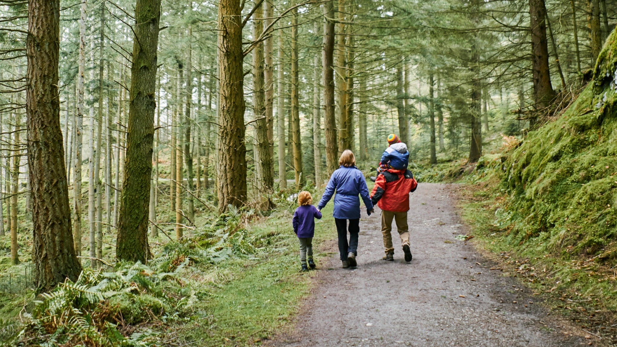 Forestry and Land Scotland YouTube banner
