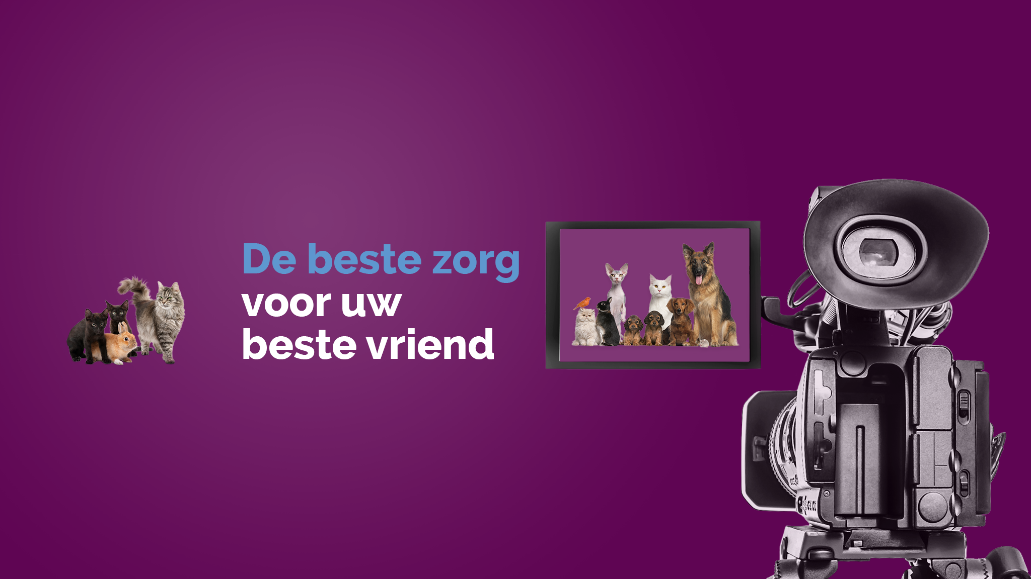 Dierenkliniek Goeree Overflakkee YouTube banner