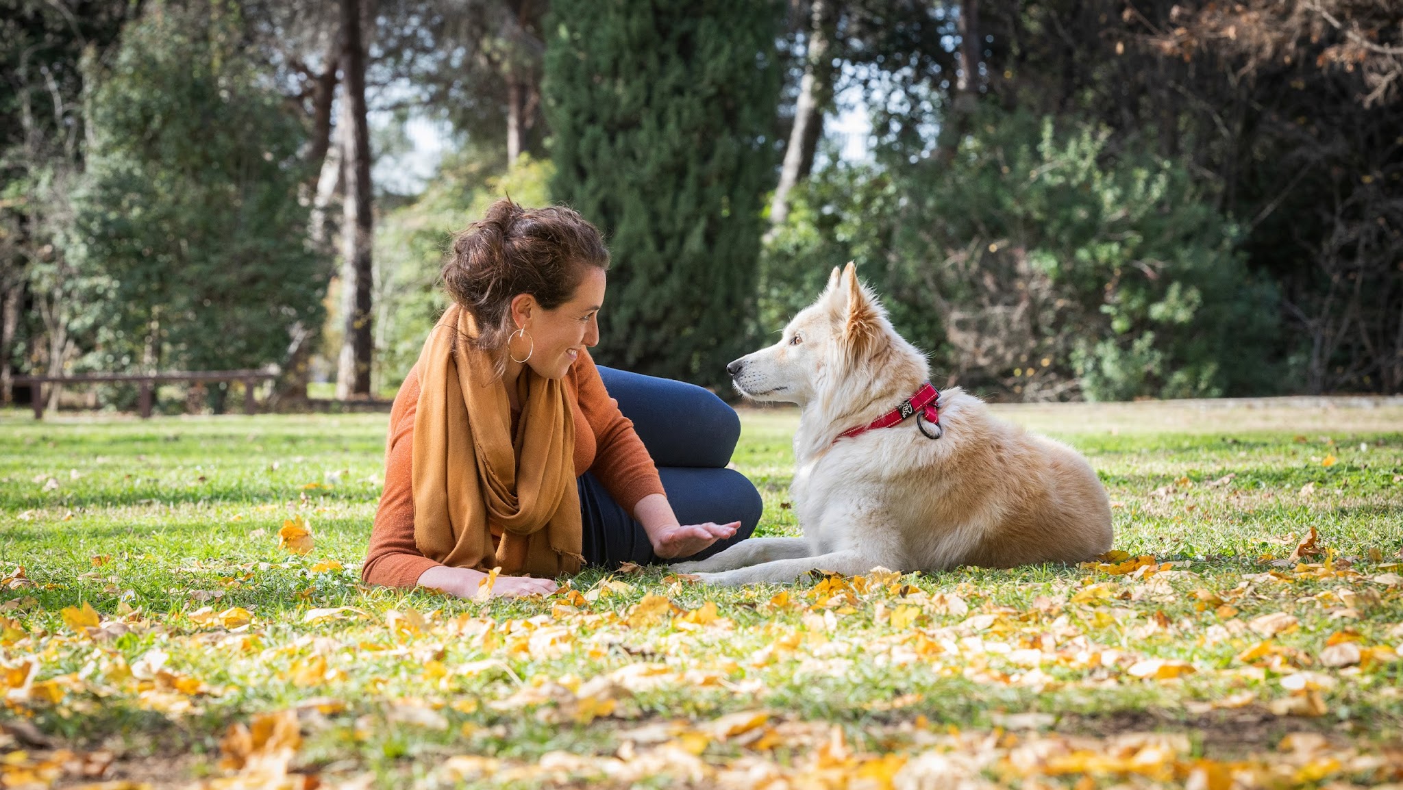 Purina CZ/SK YouTube banner