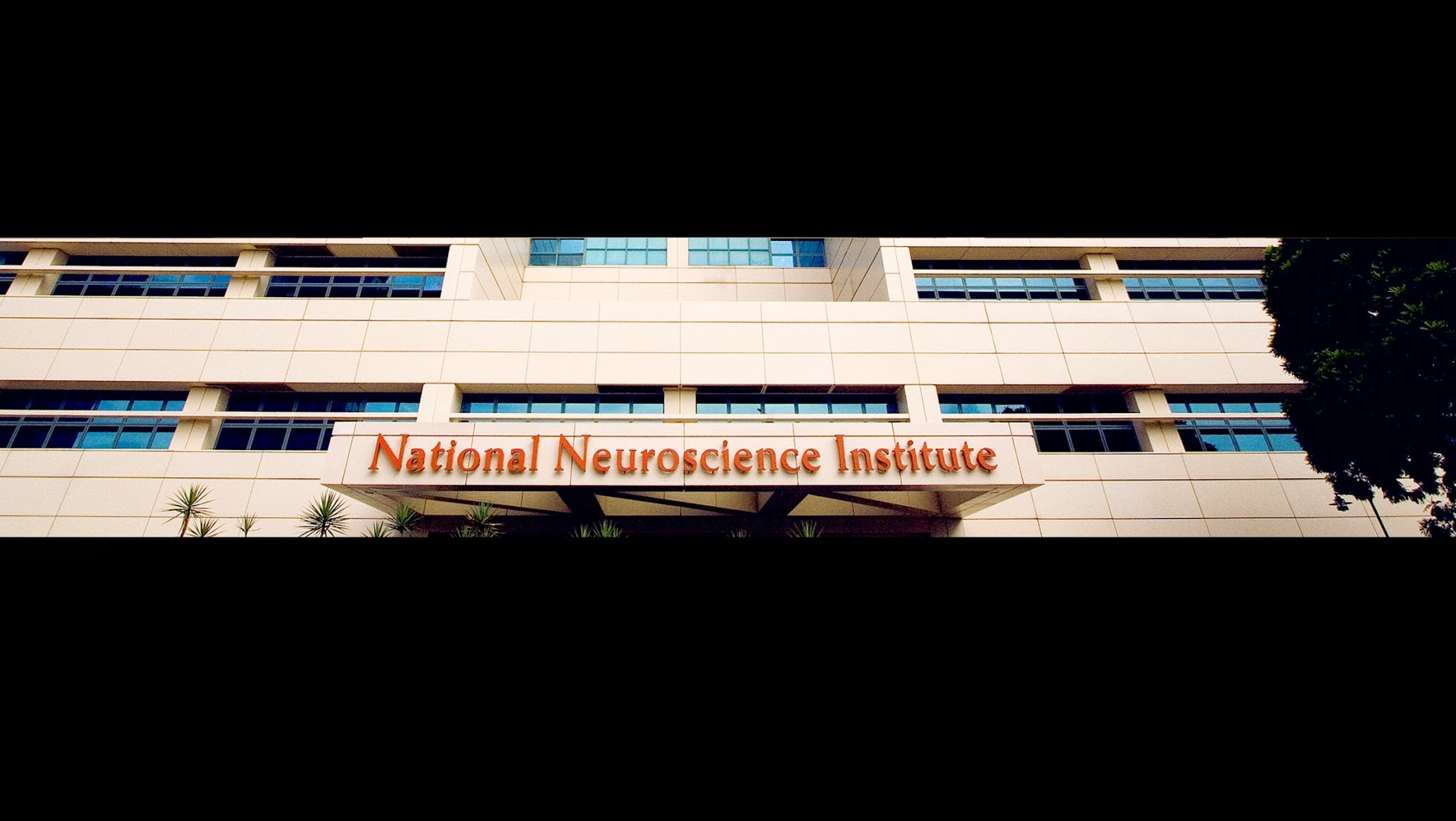 National Neuroscience Insititute Singapore YouTube banner