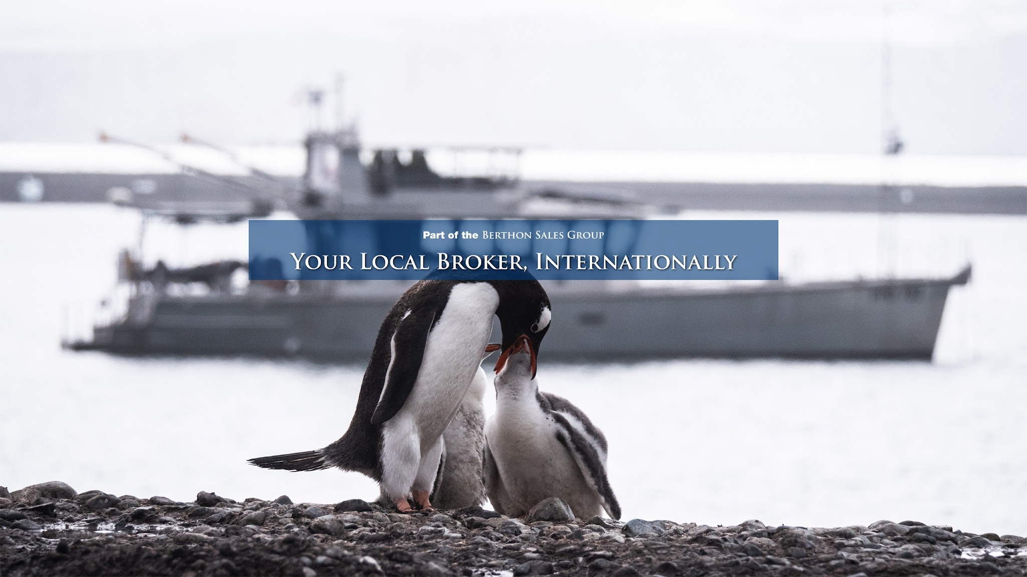 Berthon International YouTube banner