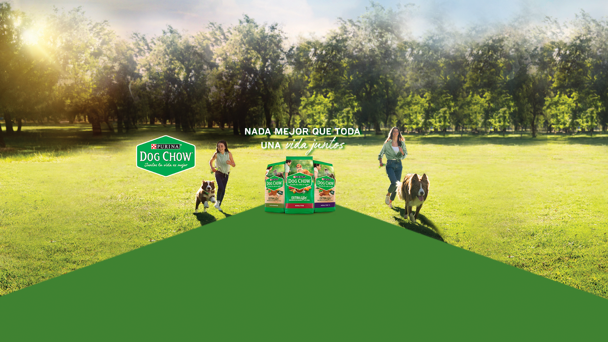 Dog Chow Chile YouTube banner
