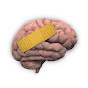 Therapiegespräche logo