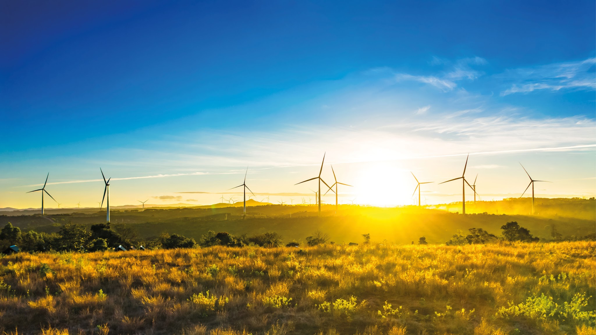 Australian Energy Regulator YouTube banner