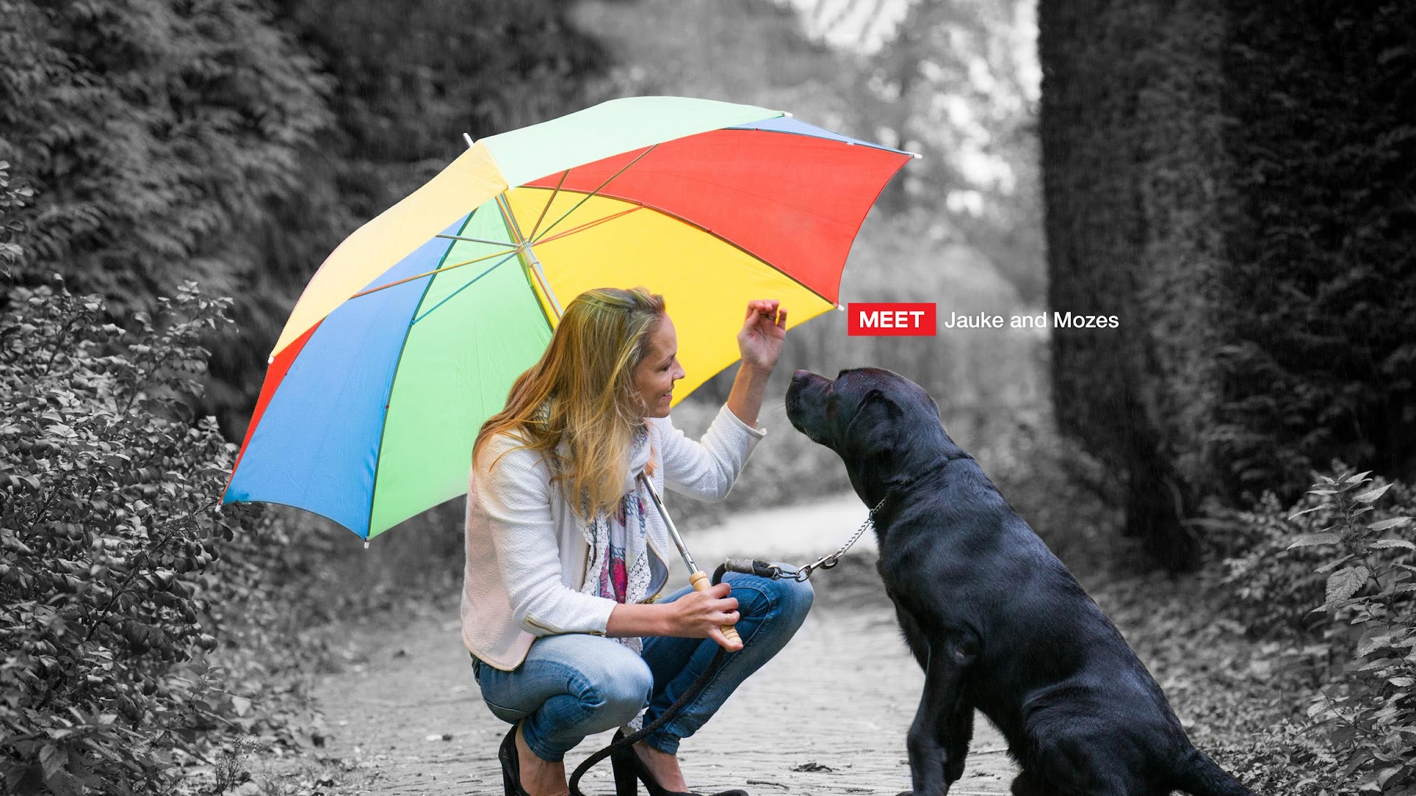 Purina Europe YouTube banner