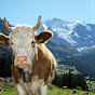 Wengen Swiss logo