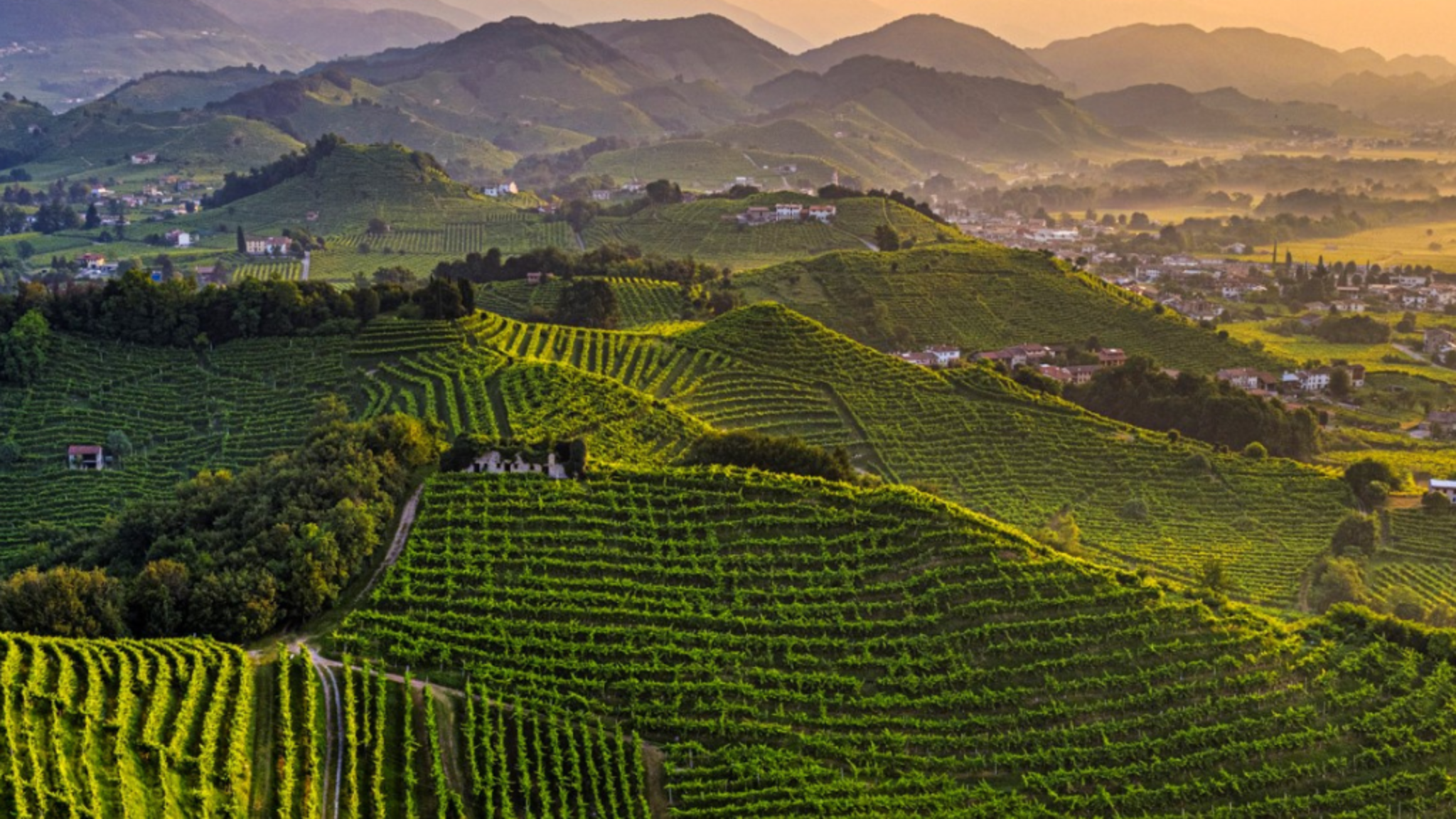 La Tordera Prosecco YouTube banner