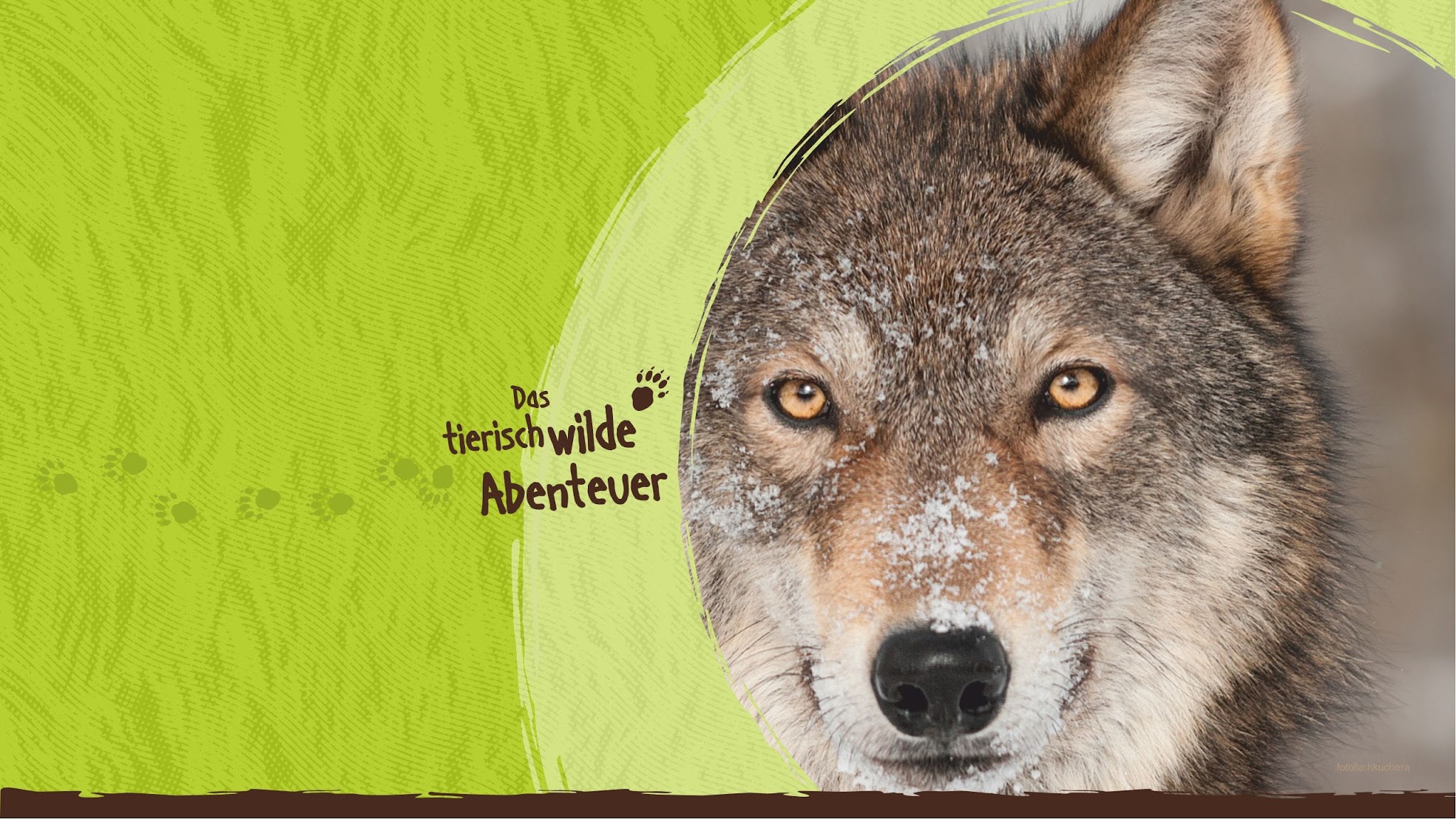 Wildpark-MV YouTube banner