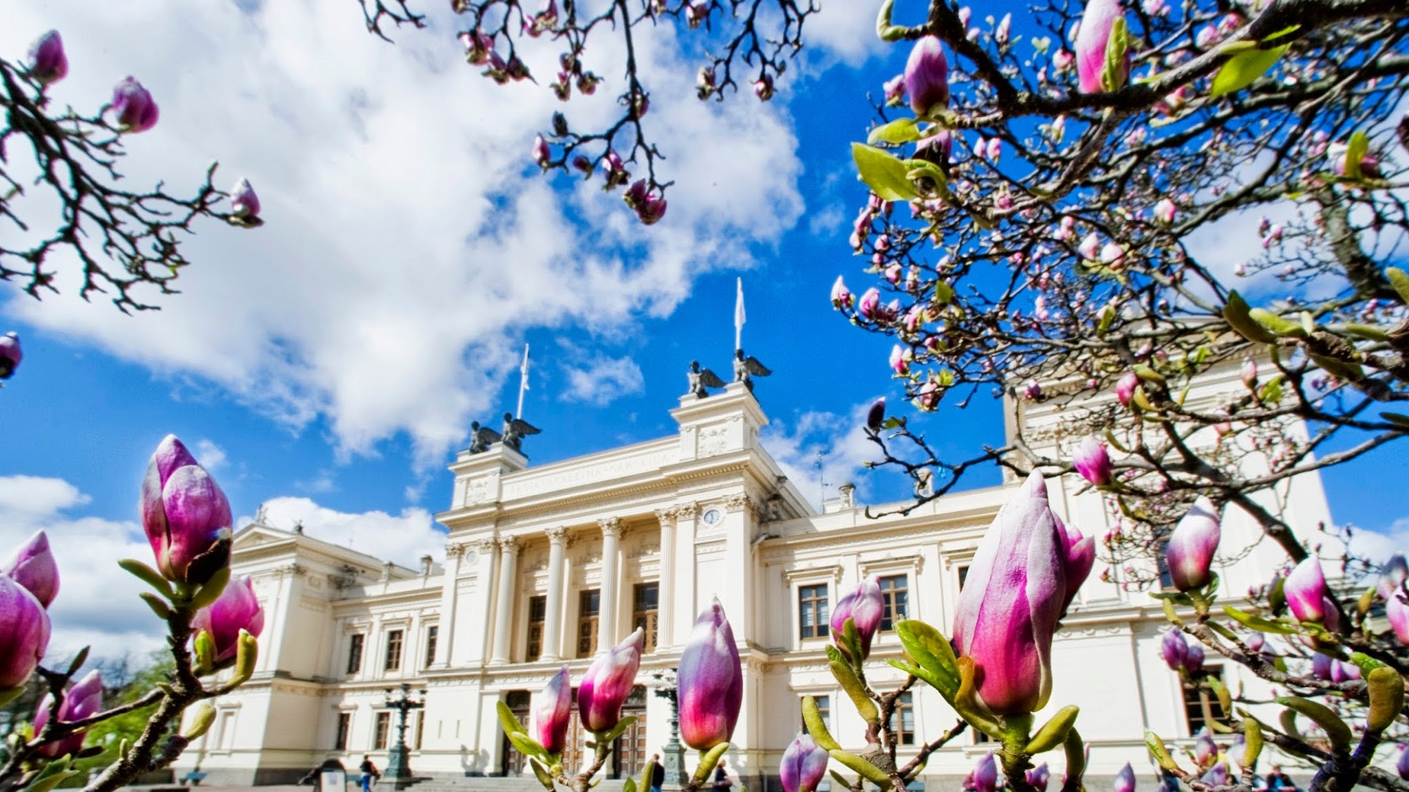 Lund University YouTube banner