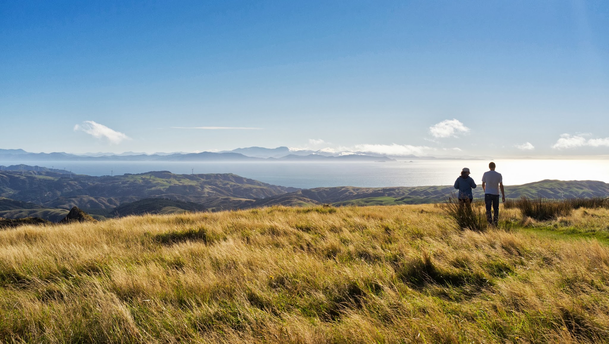 Immigration New Zealand YouTube banner