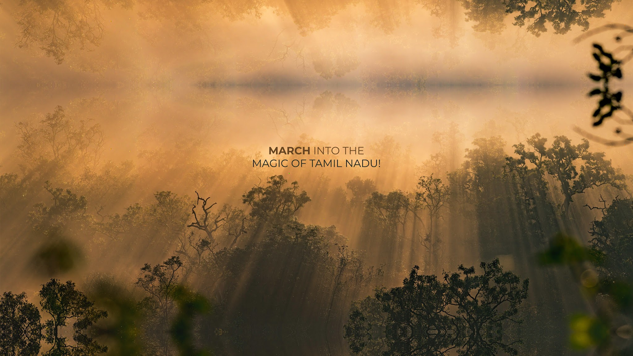 Tamil Nadu Tourism YouTube banner