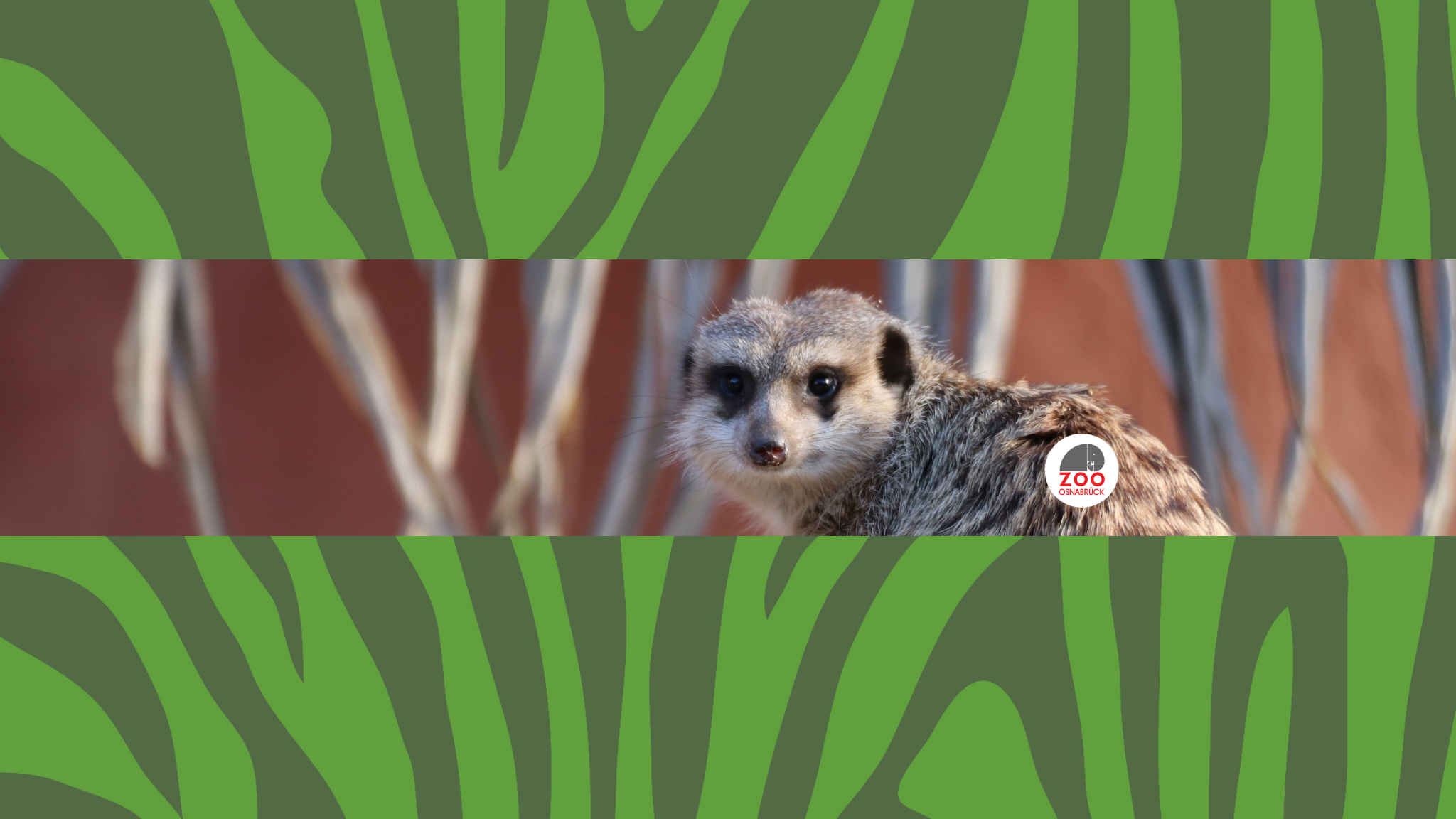 Zoo Osnabrück YouTube banner