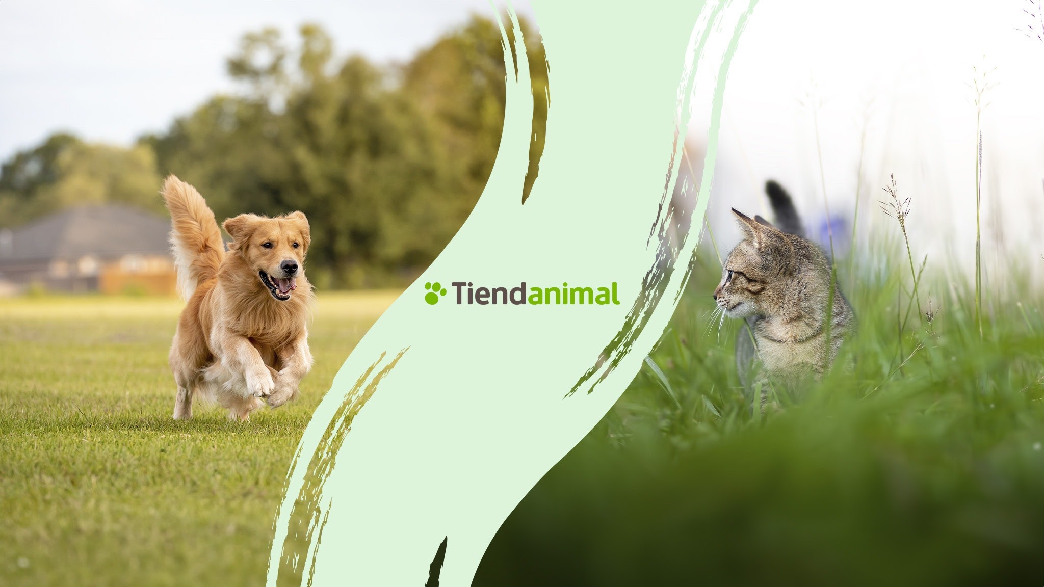 Tiendanimal.pt YouTube banner