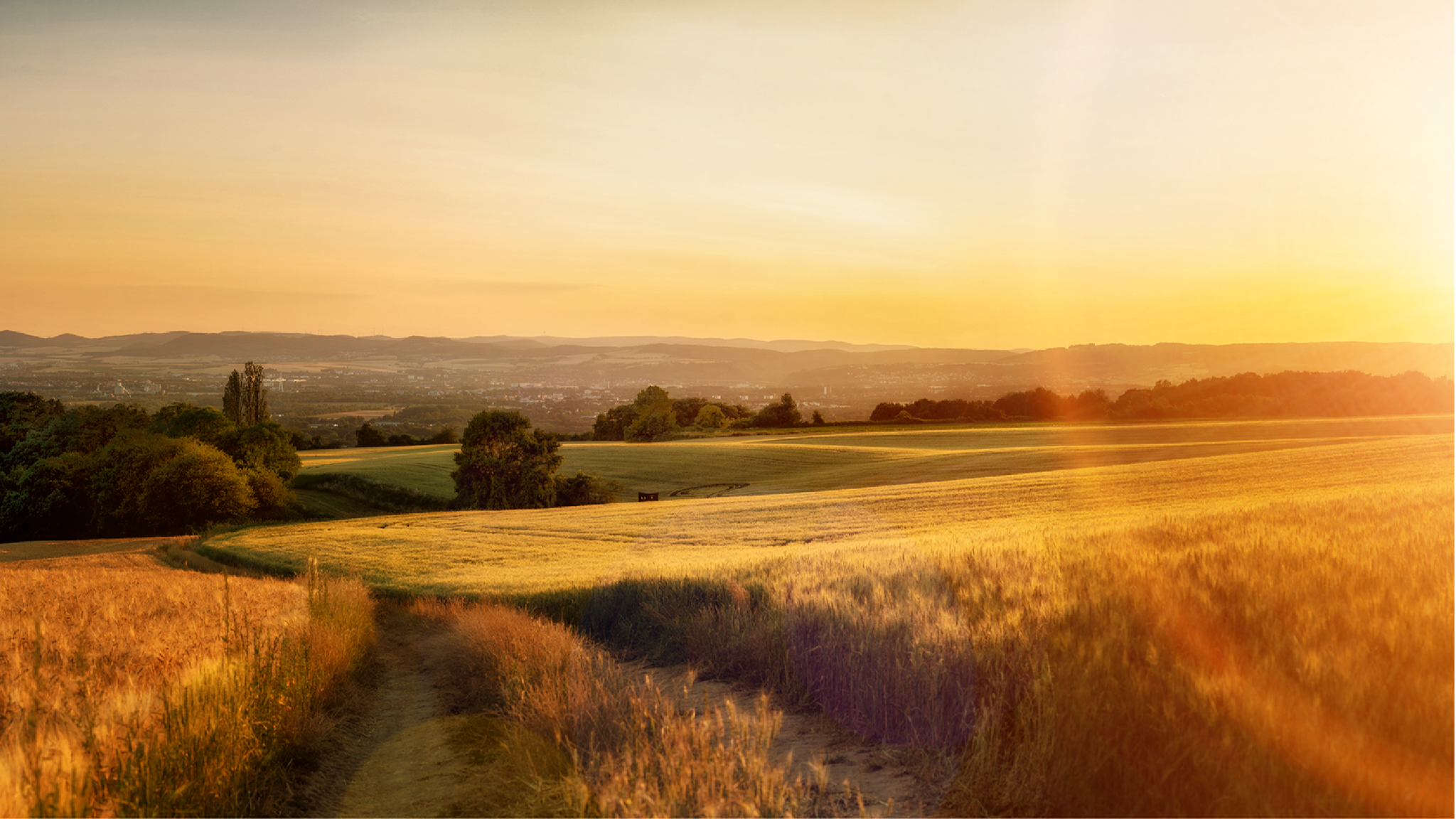 Rheinland-Pfalz Gold YouTube banner