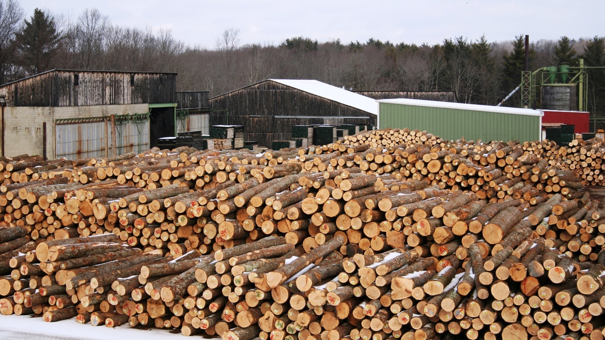 Hull Forest Products YouTube banner