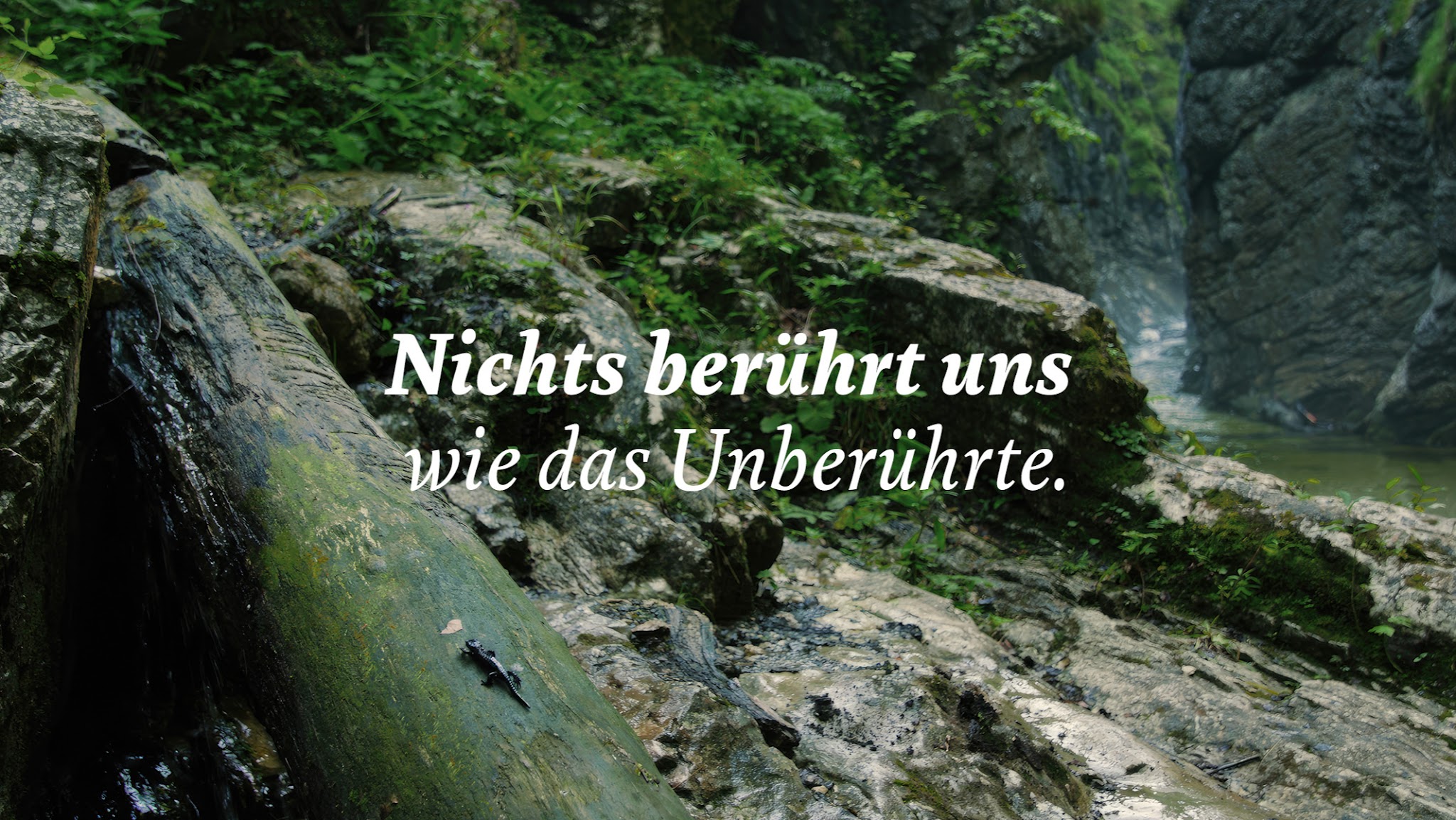 Nationalparks Austria YouTube banner