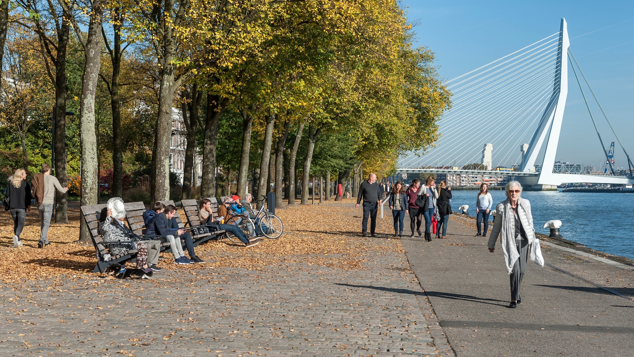 Wonen in Rotterdam YouTube banner