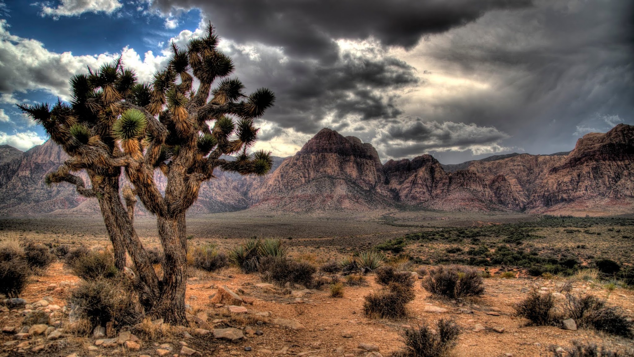 BLM Nevada YouTube banner